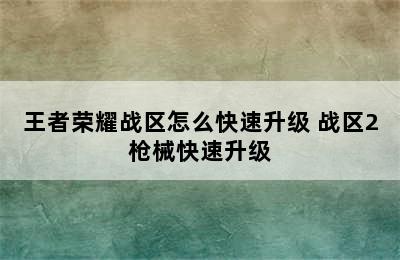 王者荣耀战区怎么快速升级 战区2枪械快速升级